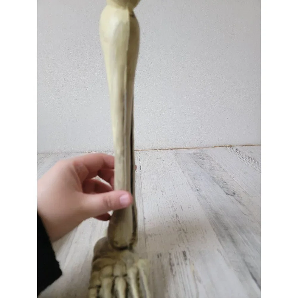 Skeleton leg bone‎ set prop Halloween decor zombie